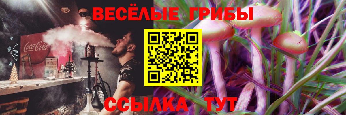 Миасс  Псилоцибиновые грибы мухоморы  Галлюциногенные грибы мухоморы  Вход с VPN 