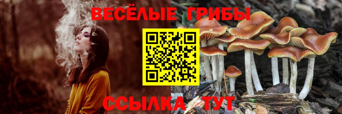 Псилоцибиновые грибы Magic Shrooms Миасс
